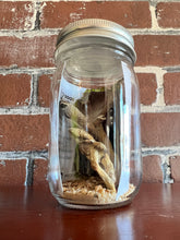 Load image into Gallery viewer, Umami Martini Booze Infusion