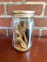 Load image into Gallery viewer, Umami Martini Booze Infusion