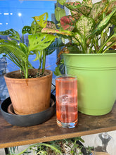 Cargar imagen en el visor de la galería, Infusión de licor de bayas y menta