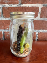 Load image into Gallery viewer, Bloody Mary Booze Infusion