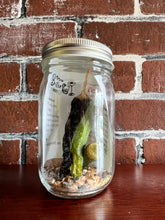 Load image into Gallery viewer, Bloody Mary Booze Infusion