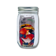 Load image into Gallery viewer, Berry Mojito Booze Infusion
