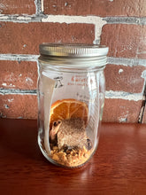 Load image into Gallery viewer, Clove, Orange and Fig Booze Infusion
